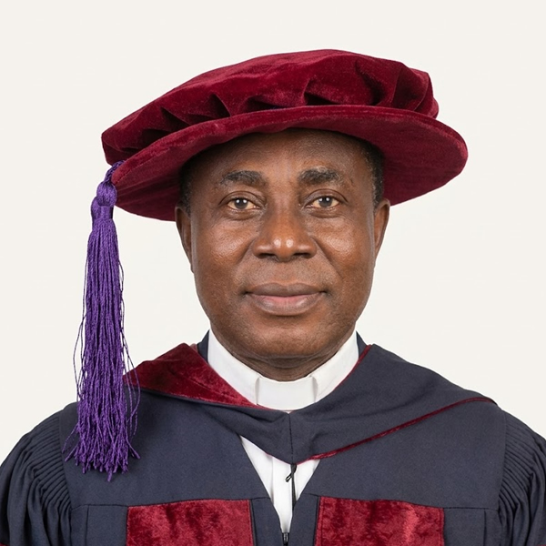 Portrait of Prof. Donatus Emmanuel U.N.