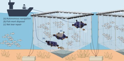 NEW TESTAMENT GREEK COMPREHENSION / TRANSLATION (THEOLOGY)