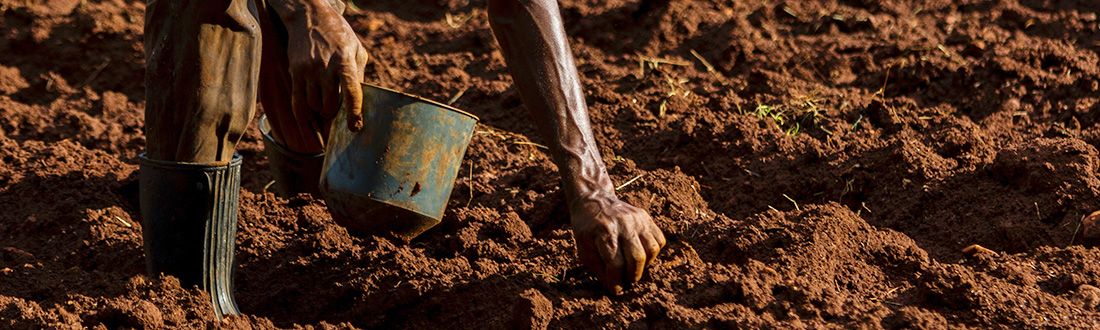 INTRO TO MISSION / CHURCH PLANTING